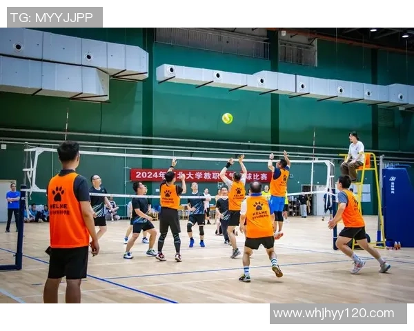 南京排球队在全国排球速度排行榜中荣获第七名的佳绩引发热议