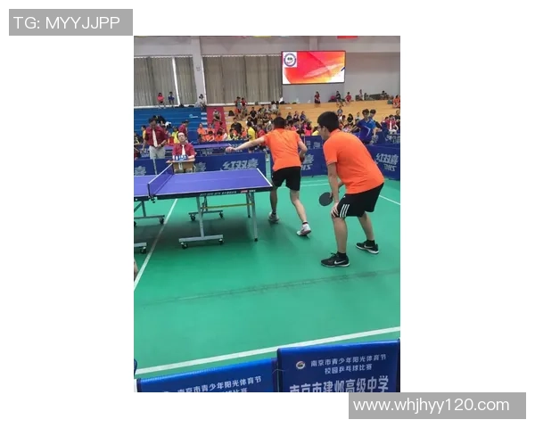 南京乒乓球队逆袭之旅揭示洲际杯背后的奋斗与荣耀