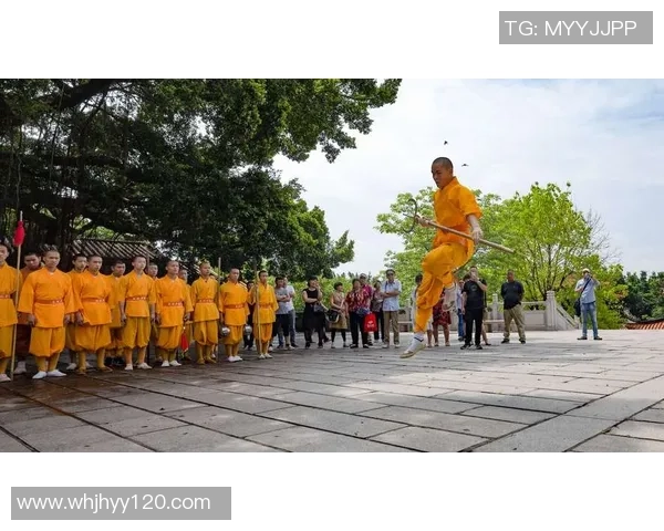 南京攀岩队区域防守体系的战术分析与实践探讨