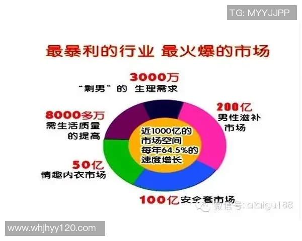 南京篮球队的灵活性探讨与发展前景分析