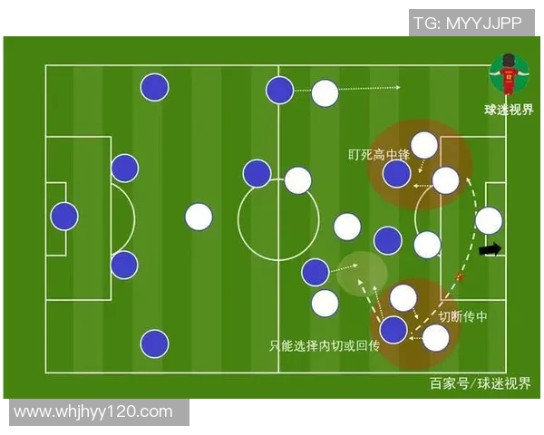 南京羽毛球队区域防守体系解析与战术应用探讨 南京羽毛球队区域防守体系解析与战术应用探讨