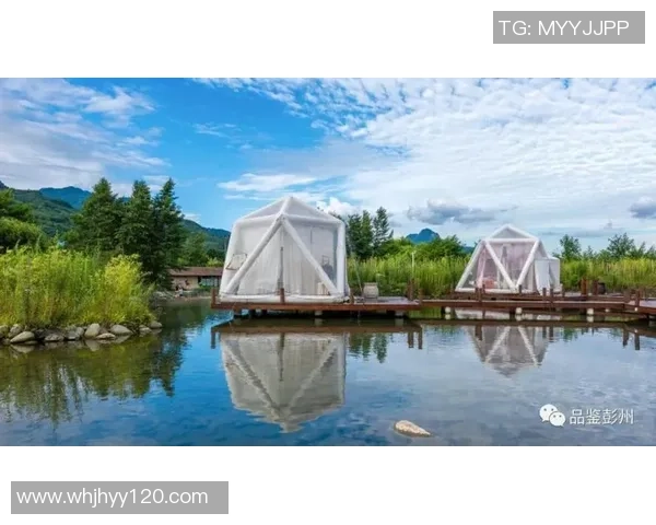 成都极限运动队速度对比深度解析与未来发展趋势探讨 成都极限运动队速度对比深度解析与未来发展趋势探讨