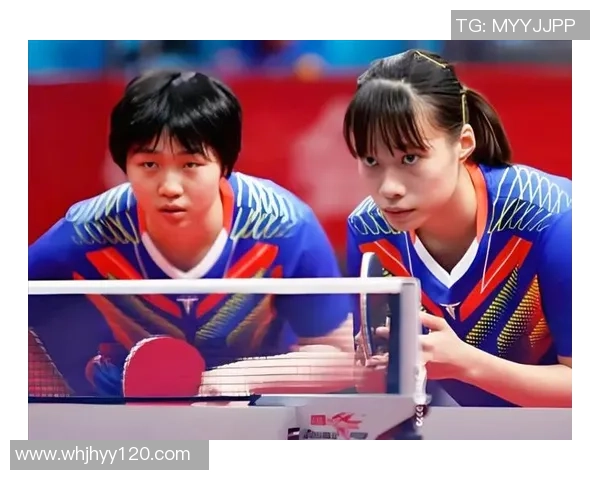 深入探讨杭州乒乓球队各队员个人能力差异与发展潜力分析