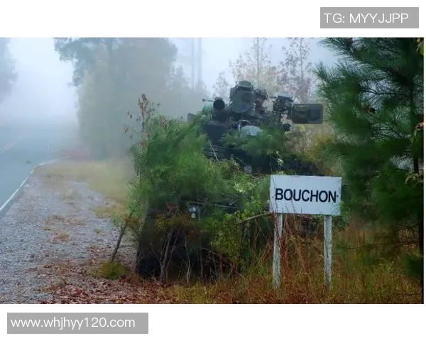 杭州篮球队技术对比深度解析：战术风格与球员能力的全面评估